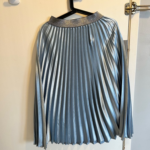 Midi length blue skirt - Picture 3 of 5